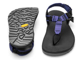 Bedrock EVO Pro Sandal 戶外涼鞋 2024新版本