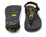 Bedrock EVO C Sandal 戶外涼鞋 2024新版本