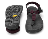 Bedrock EVO C Sandal 戶外涼鞋 2024新版本