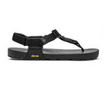 Bedrock EVO C Sandal 戶外涼鞋 2024新版本