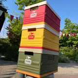 Chums Camper Folding Container CH62-1903 45L 露營收納箱