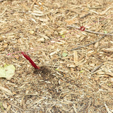 MSR Tent Guyline Kit 營繩套裝