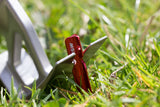 MSR Stake Hammer 超輕營鎚