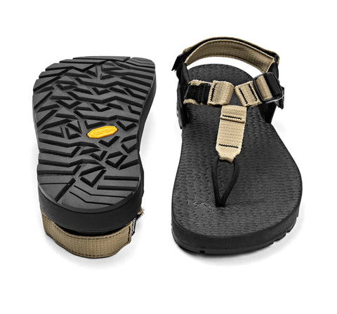 Bedrock EVO C Sandal 戶外涼鞋 2024新版本