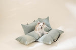 CAMDOG Pet Car Seat 寵物汽車安全座椅
