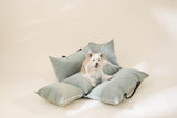CAMDOG Pet Car Seat 寵物汽車安全座椅
