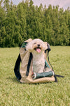 CAMDOG Dog Backpack Carrier 戶外防水寵物外出袋 背包