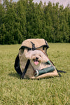 CAMDOG Dog Backpack Carrier 戶外防水寵物外出袋 背包